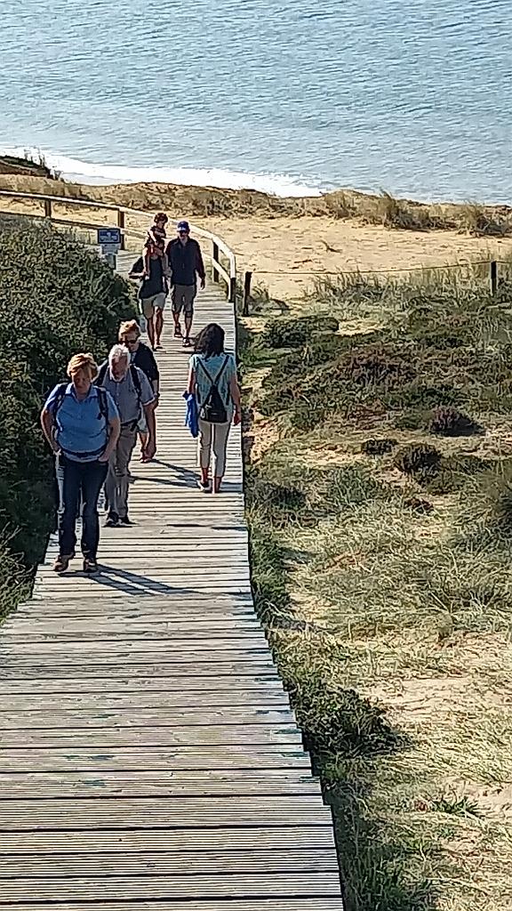 Sylt (38)
